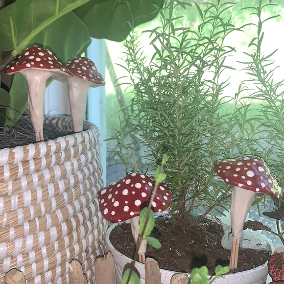[3] MUSHROOM 🍄 Garden Stakes w/ SPOTS! 🙌🏽❤️🌈 - Picture 10 of 11